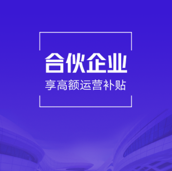 北京西城企税一般纳税人代理记账（合伙企业1年版）